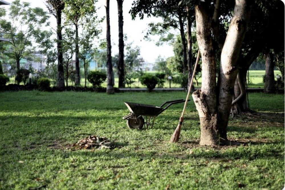 Îngrijire gospodării, curățenie și mici reparații – Brăila