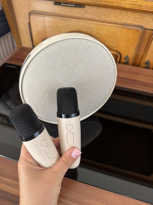 Boxa Karaoke cu 2 microfoane copii