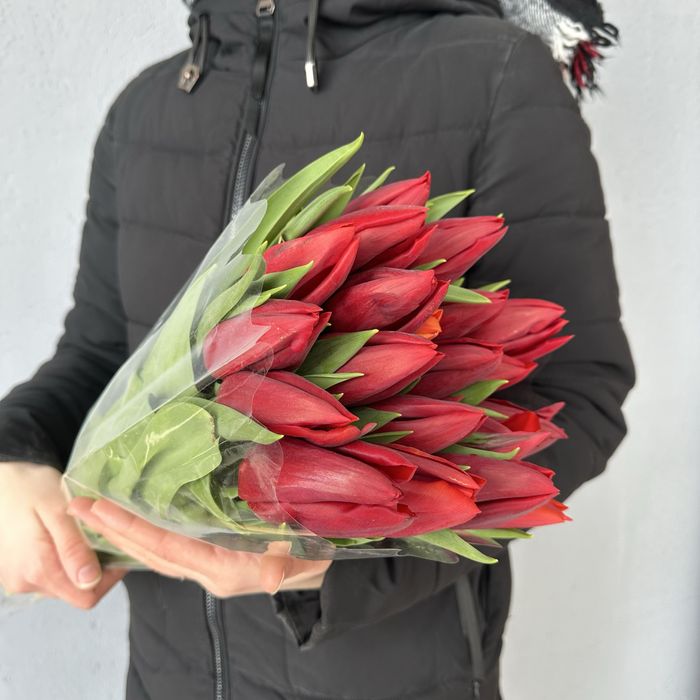 Тюльпаны Кокшетау