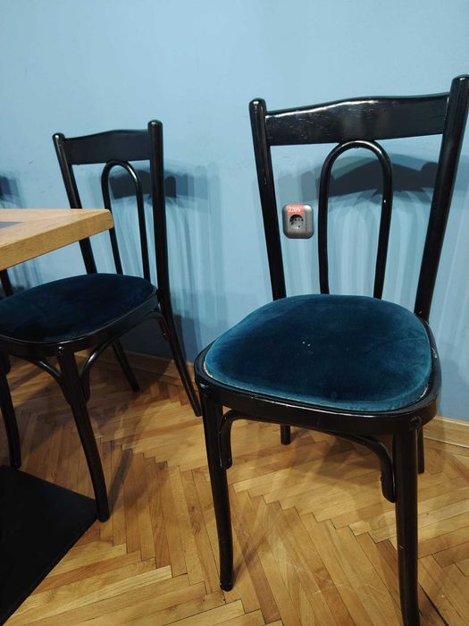 Scaune pentru cafenea din catifea albastra