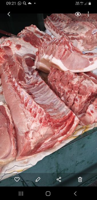Продам  свинину  .