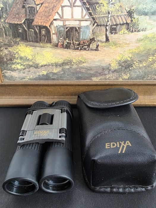 Binoclu 10x25...