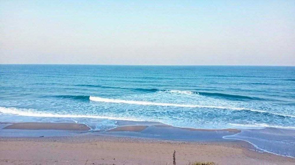 Продава се Парцел в с. Езерец, Област Добрич - 1929 кв.м за 31 €/кв.м - Снимка #10