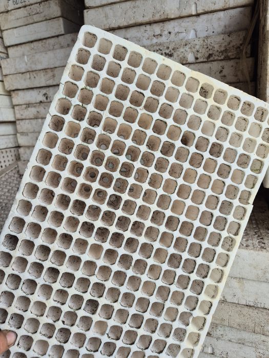 Табли , тарелки за разсад 280 гнезда