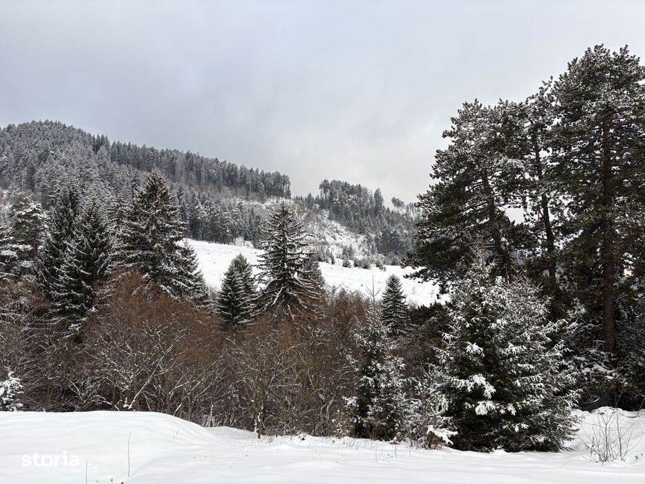 Teren de vanzare Sacele