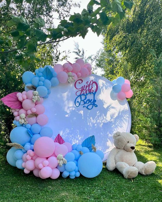 Decor gender reveal Arcada baloane baby shower Artificii de zi
