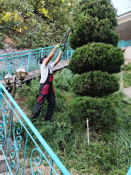 Услуга садовника