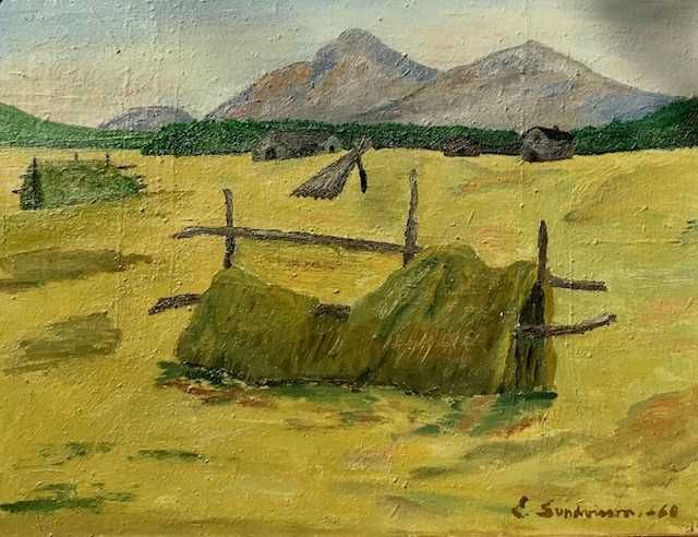 Scoala maghiara. U/pz 50 cu 35 cm +r . "COLIBE"