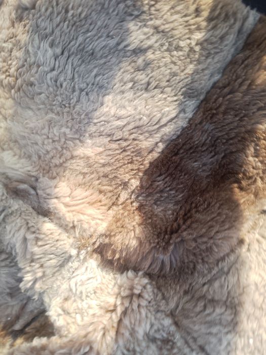 Продам продам продам