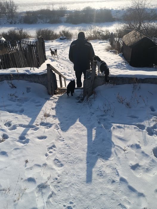 Продаётся дача СПП,,Металлург,,