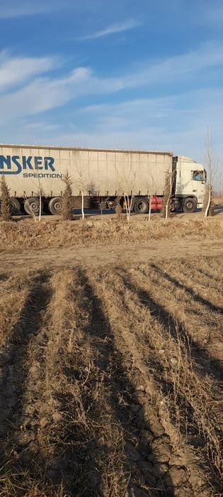 DAF sotiladi holati juda yaxshi