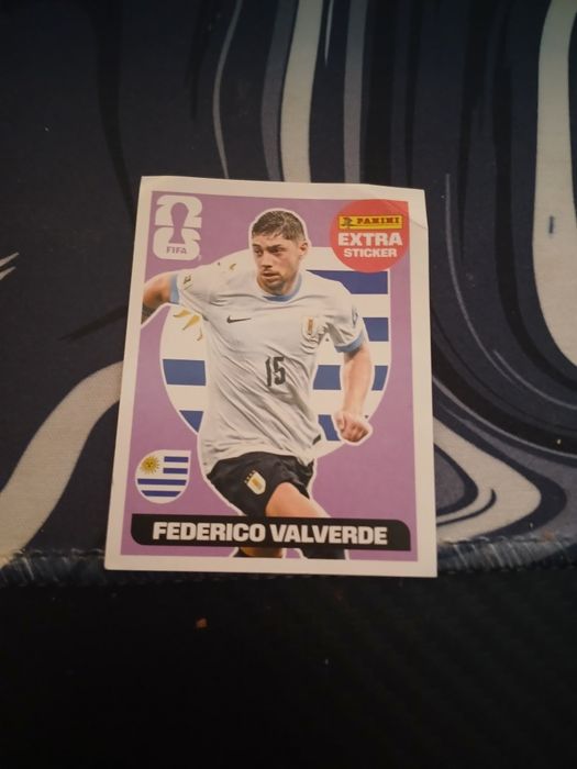 Cartonas WORLD CUP