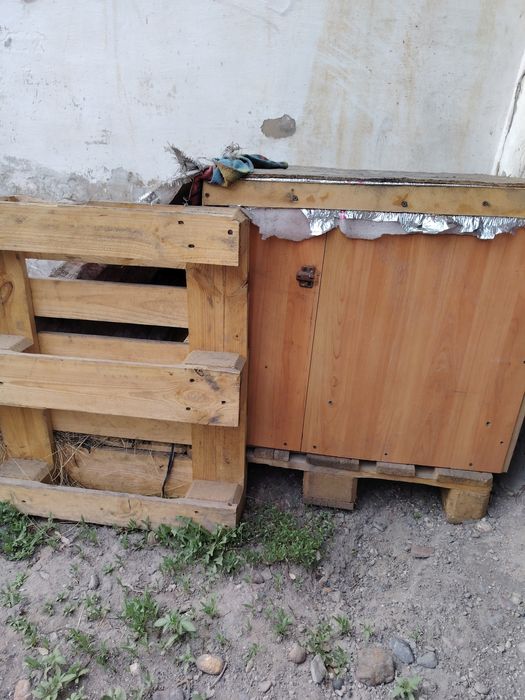 Будка, валерь для собак