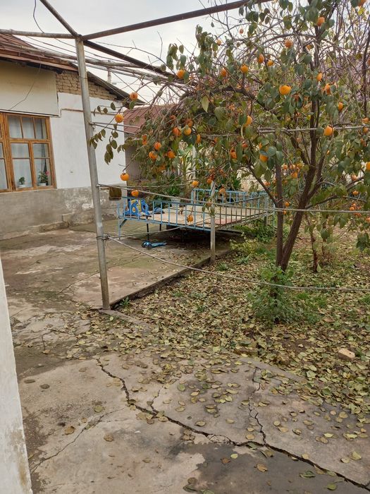 Uchastka xovli 5,7 sotix