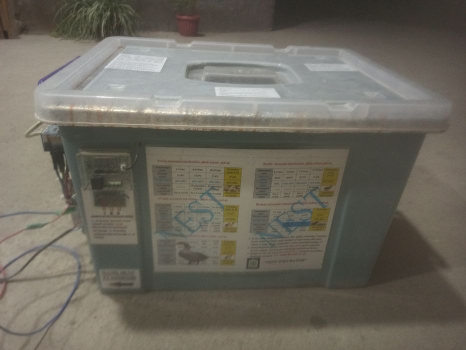 Nest inkubator sotiladi