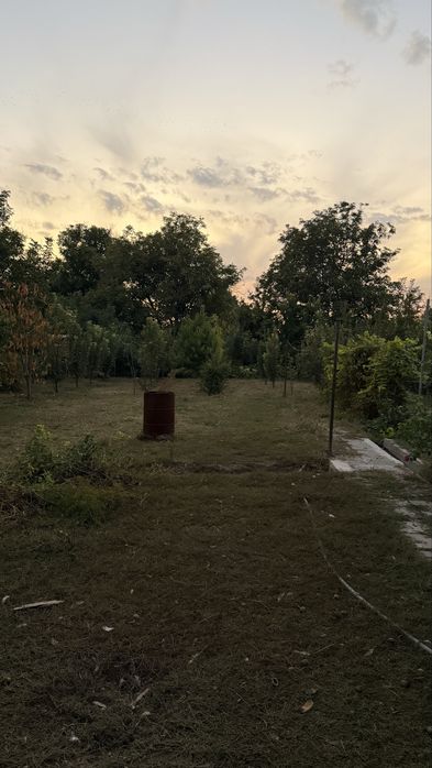 Продам дом в Тогусе