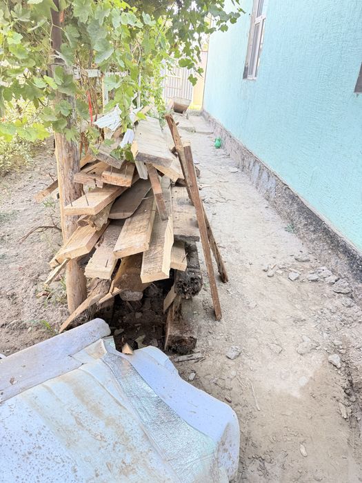 Дерево бесплатно даром