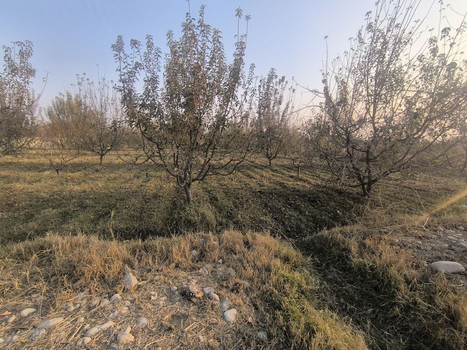 Chek, uchastka sotiladi.