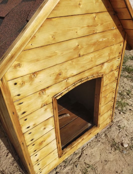 Бутка для собак.