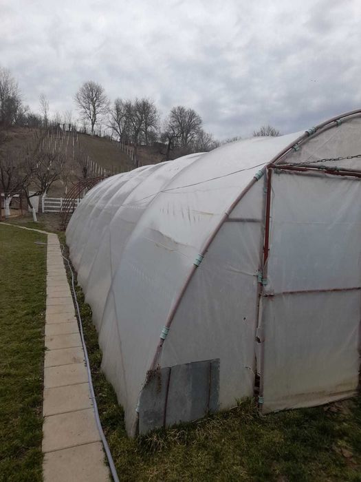 Vand teava flexibila pentru sere 1 1/4 tol