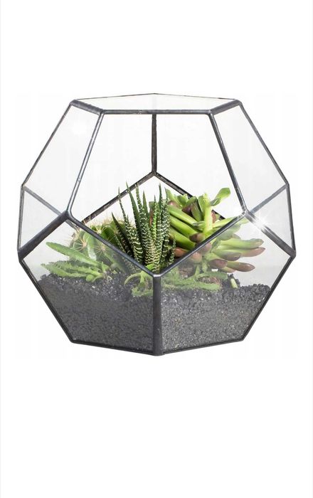 Терариум за растения