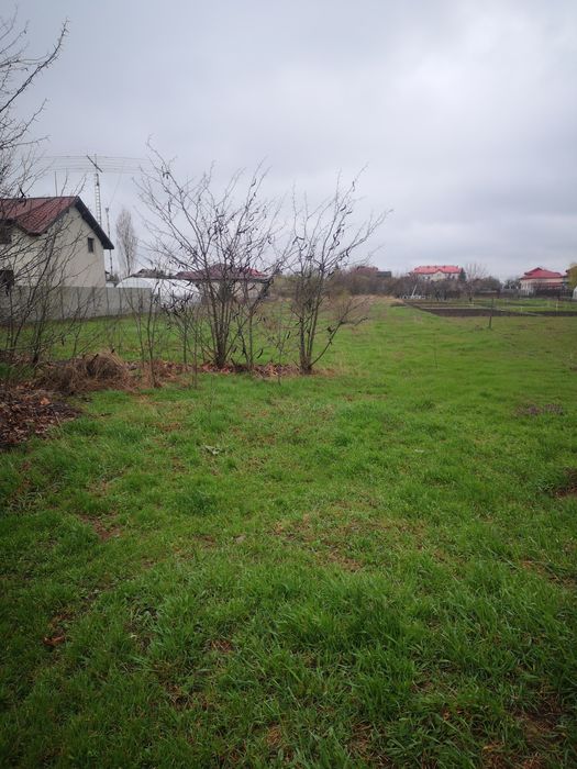 Teren de vânzare – Cornetu, Ilfov – Strada Bradului