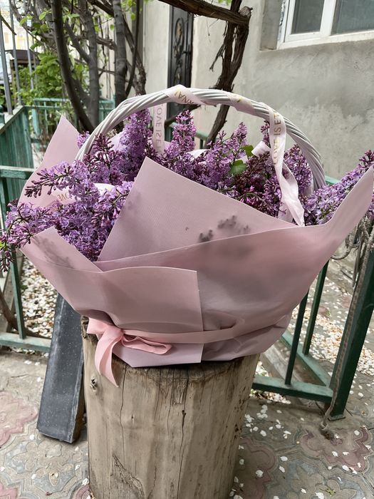Сирень букет корзина 10к