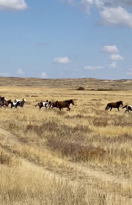 Земельный участок 821 гектар