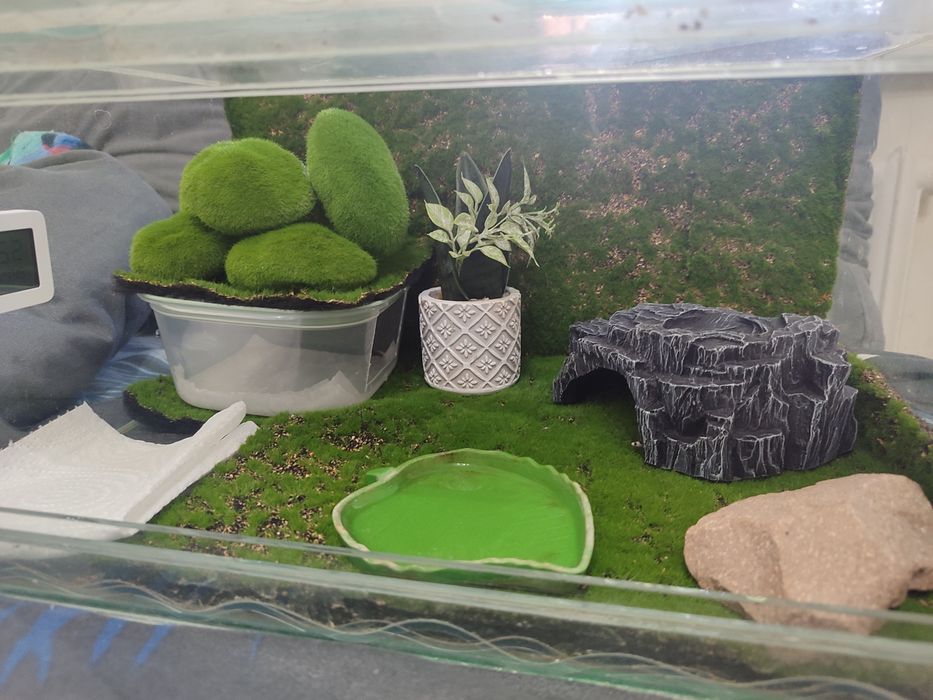 Продам  эублефар