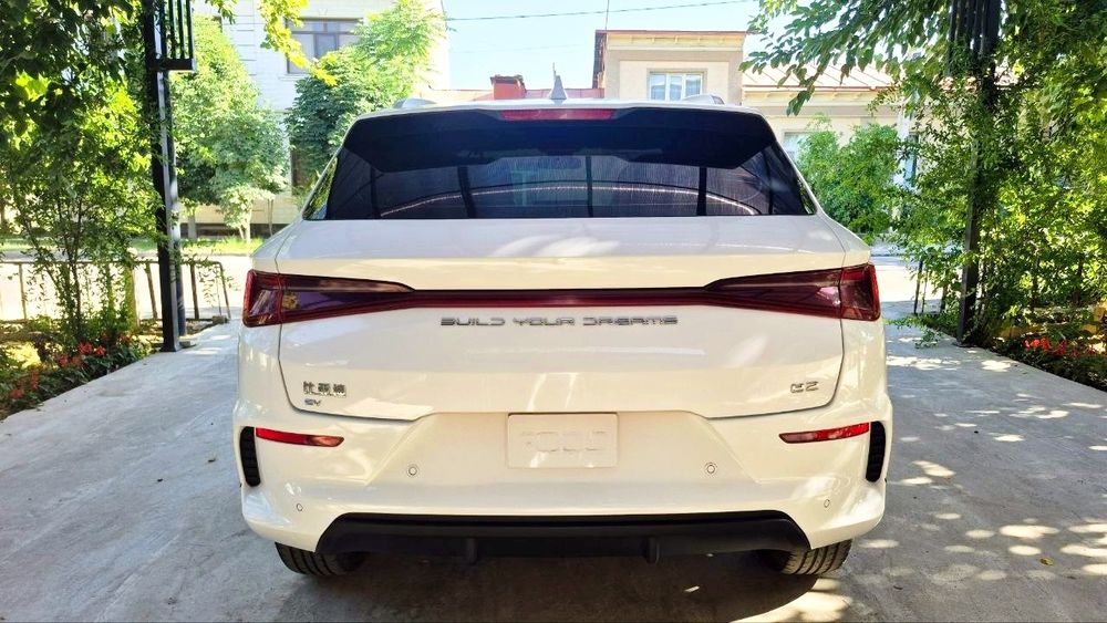 BYD e2 luxury position 2024