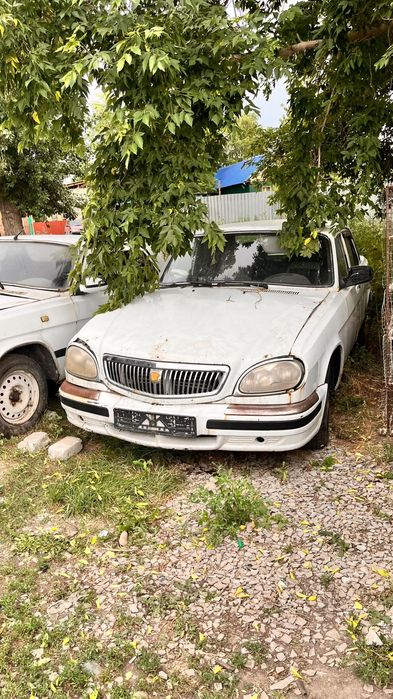 Волги в разборе есть все