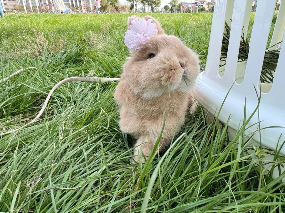 Telefon o‘rnini bosadigan do‘st