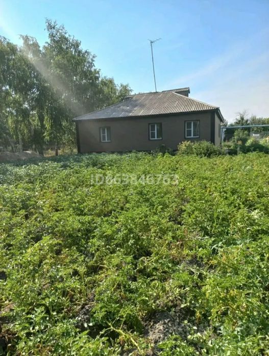 Продам дом в а. Акмол (Малиновка)