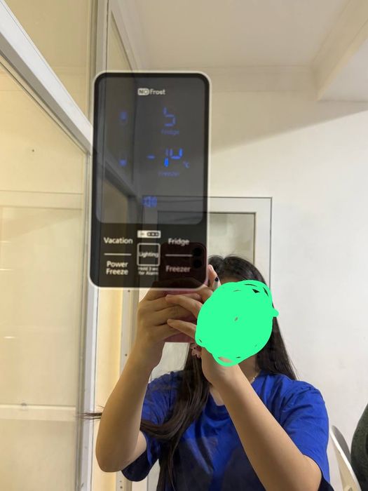 Холодильник Samsung RL55VTEBG