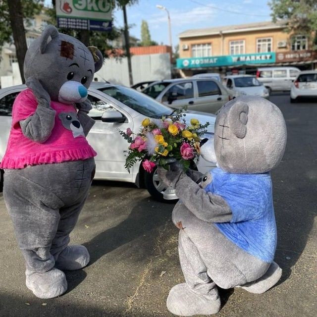 Raddom va tugulgan kun uchun Ayiqlar|айиқлар. oformleniya|оформленийа