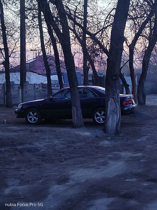 Шина с покрышкой