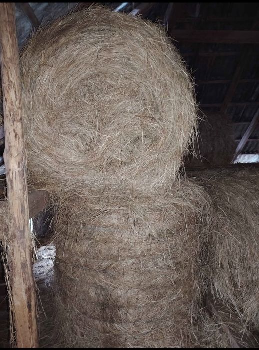 Vand baloti de fan 120 /120