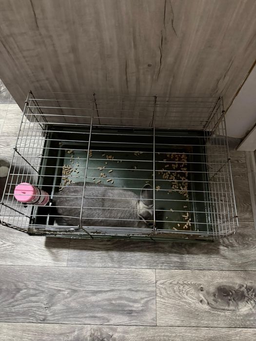 Клетка для грызунов