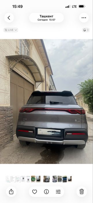 BYD, Yang Up 2024
