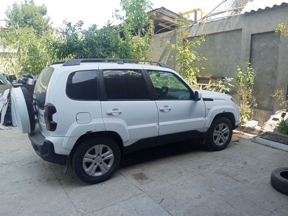 Niva travel 2022