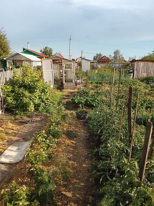 Продам дачу в Новопавловке
