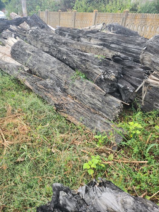 Vând lemne esența tare