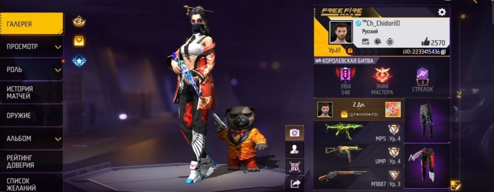 Прокачанный аккаунт в  Free Fire