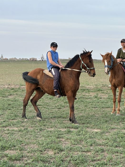 Кунан 2 жаска толады енді