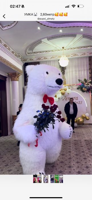 Выписка из родома скидка