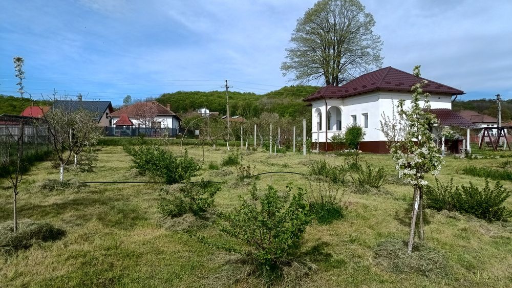 Casă tradițională renovată