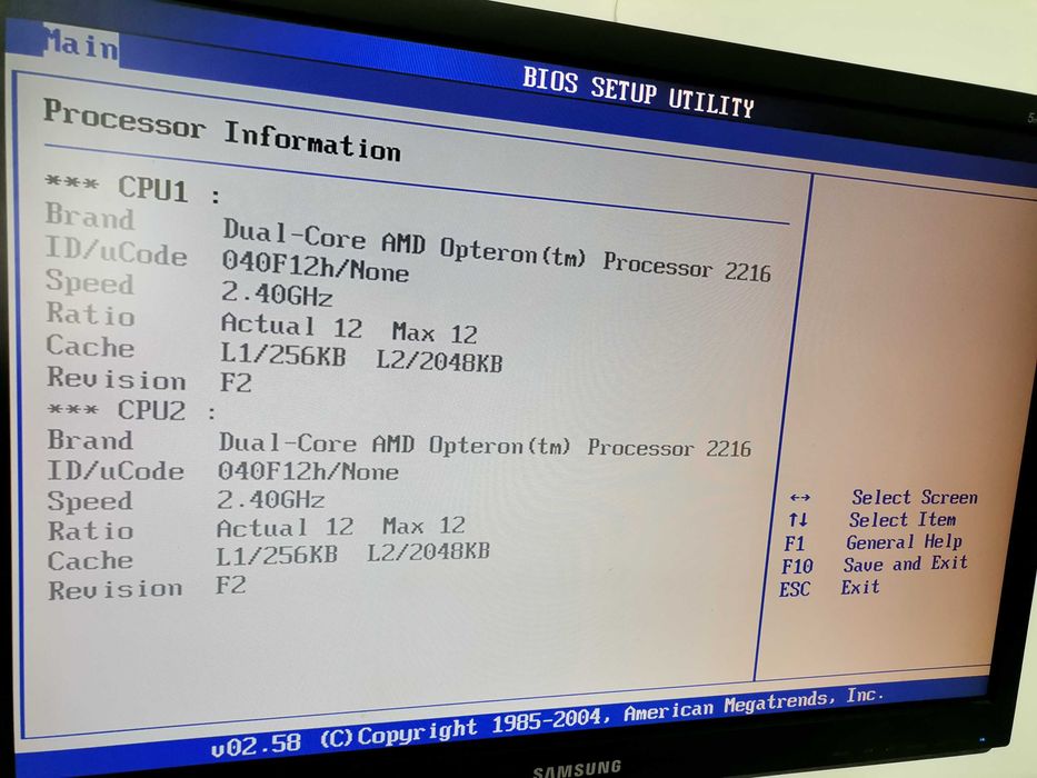 Server Asus RS161-E4 dual CPU Opteron + 8x2Gb - 16 Gb Ram