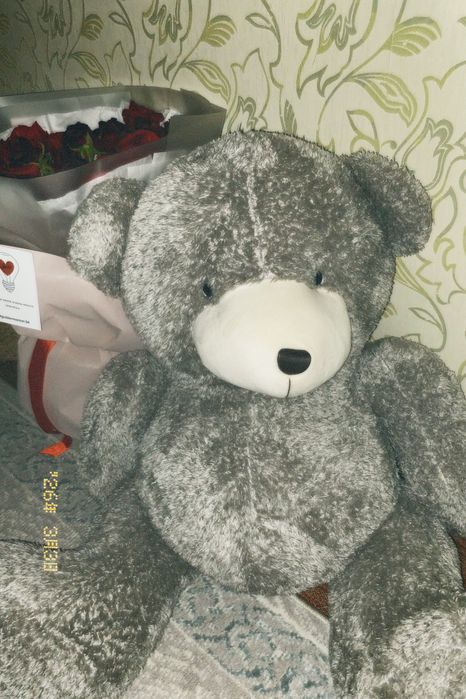 плюшевый мишка ,