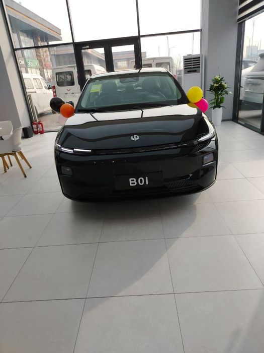 Leapmotor B01 full 650 km
