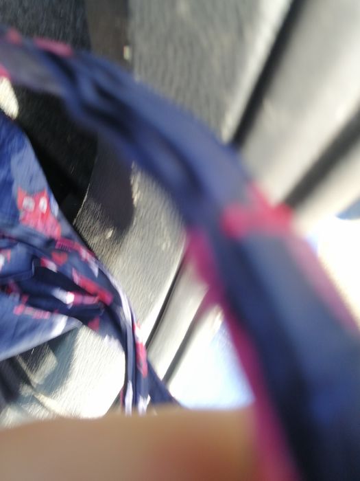 Vând găini de rasa Playmuth rok baratO rasa f bună. Rezistenta la boli.